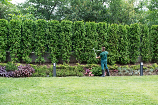 Lawn Pest Prevention in Wesley Hills, NY